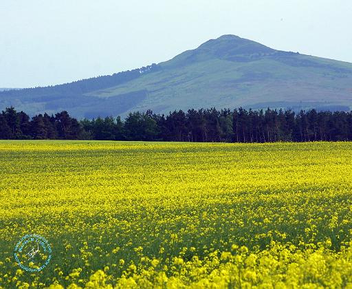 Scottish Borders Rubers Law 8T78D-04.JPG